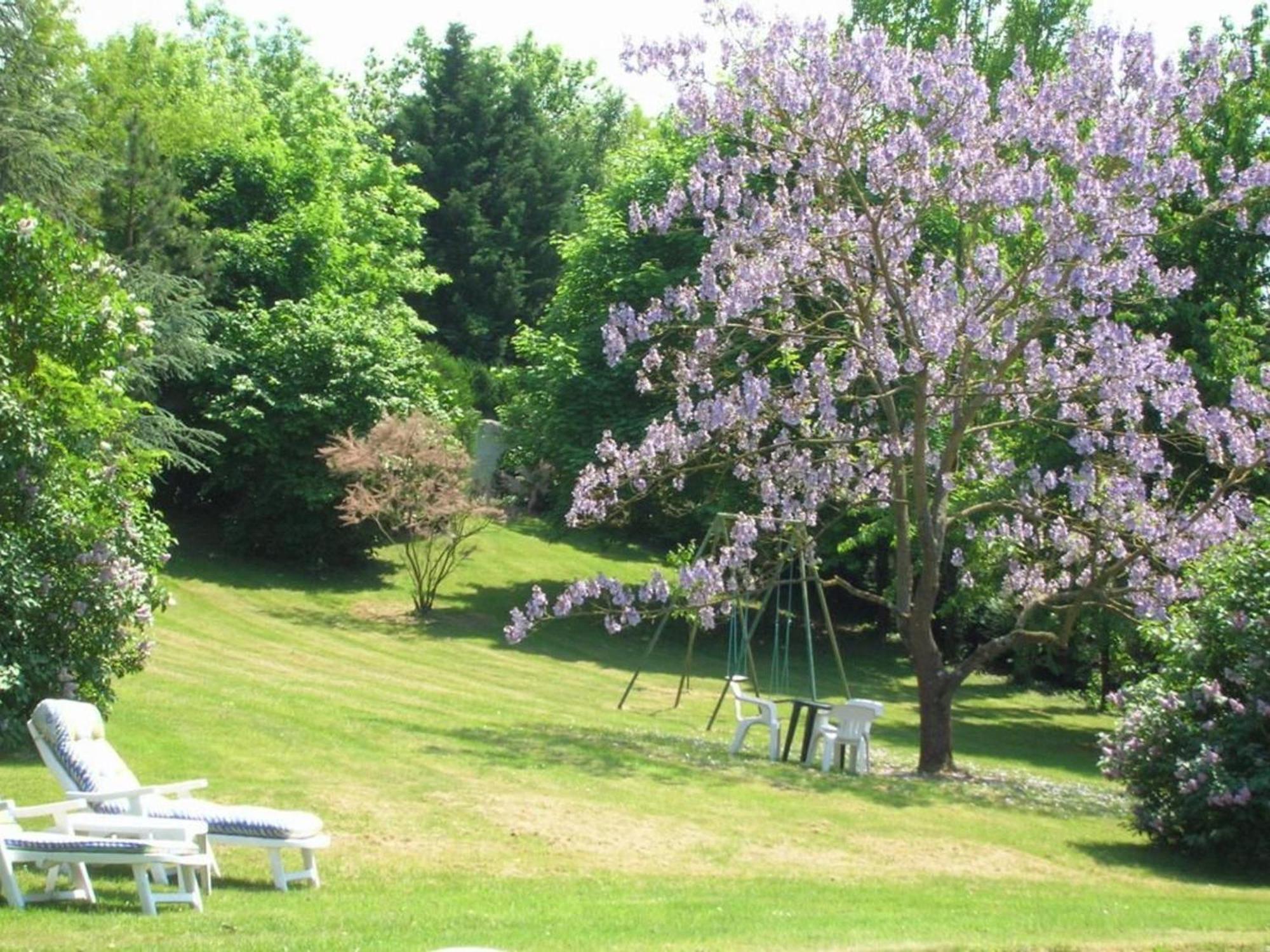 Charme Au Coeur Des Chateaux De La Loire Avec Wifi - Fr-1-590-305 Bed and Breakfast Tavers Esterno foto